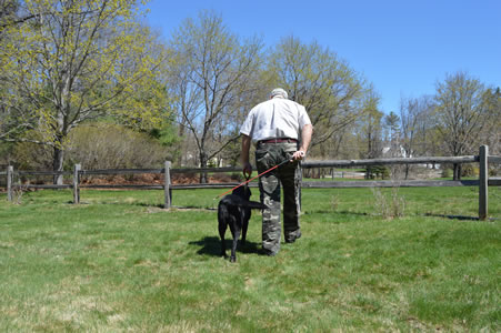 Lightly swat the dog's backside if he starts to leave your side.