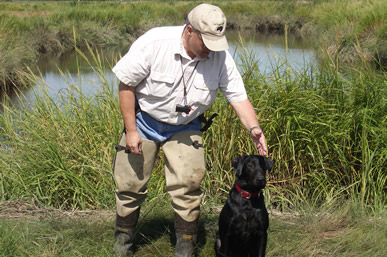 What Does Healthcare Have To Do With Training Your Lab To Hunt?